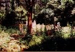 Vaught Cemetery, Marshall Co. AL